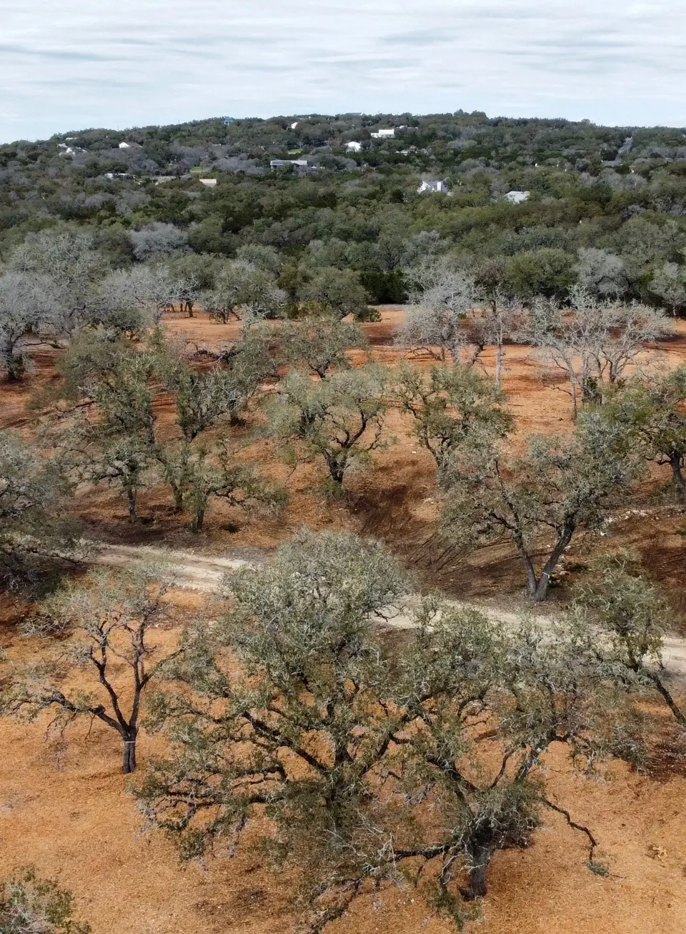 Aerial view of a cleared commercial site with trees kept