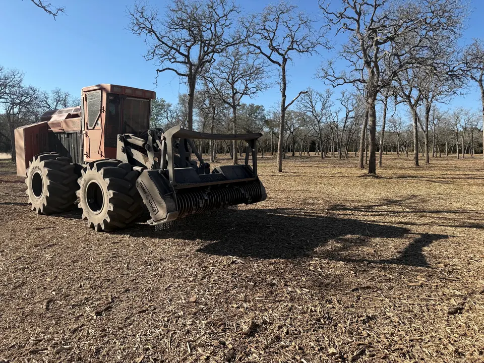 Articulated mulcher in a cleared stand of trees