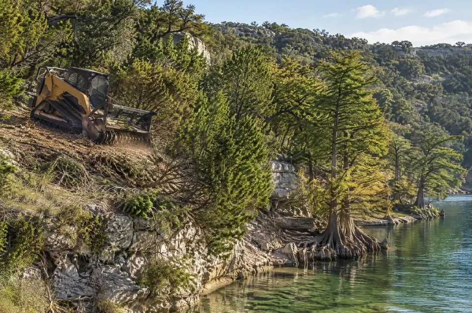 Ashe juniper removal Spring Branch: Ashe juniper on a limestone bluff above the clear Guadalupe River, cypress at the waterline