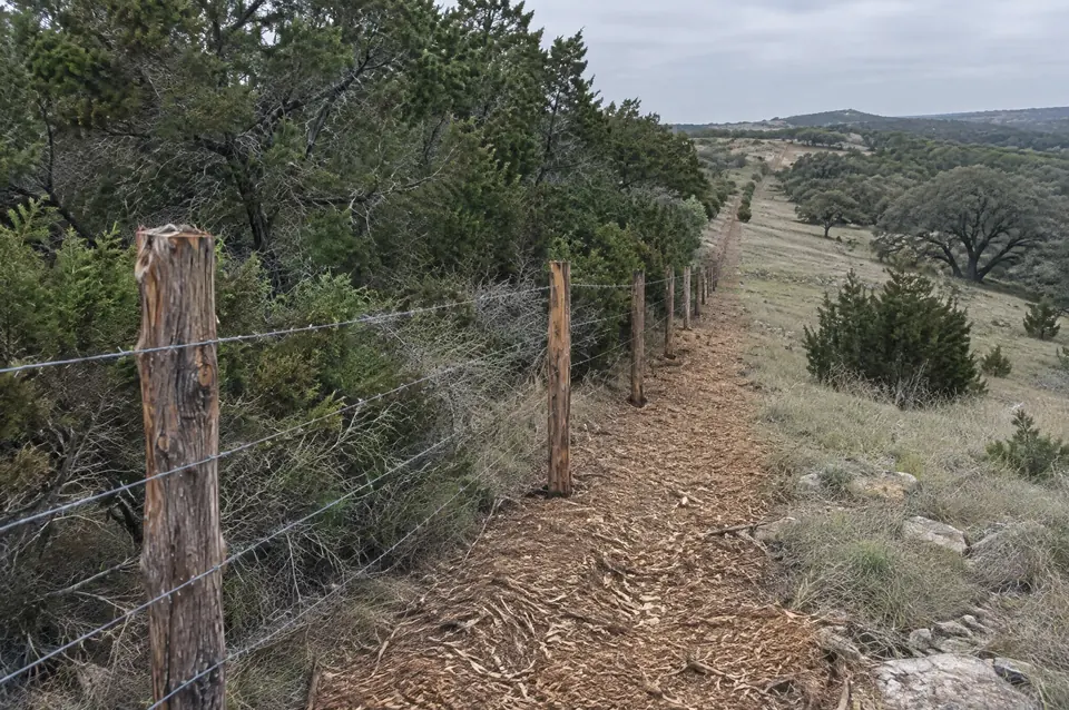 Forestry mulching pittsburg TX: barbed-wire ranch fence with a mulched clear strip on one side and cedar on the other