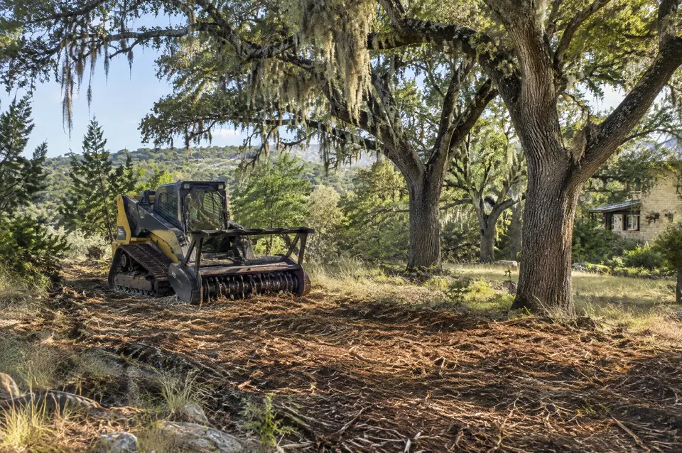 Cedar clearing Comal County: big live oaks with Spanish moss kept on a Spring Branch homesite after cedar was mulched