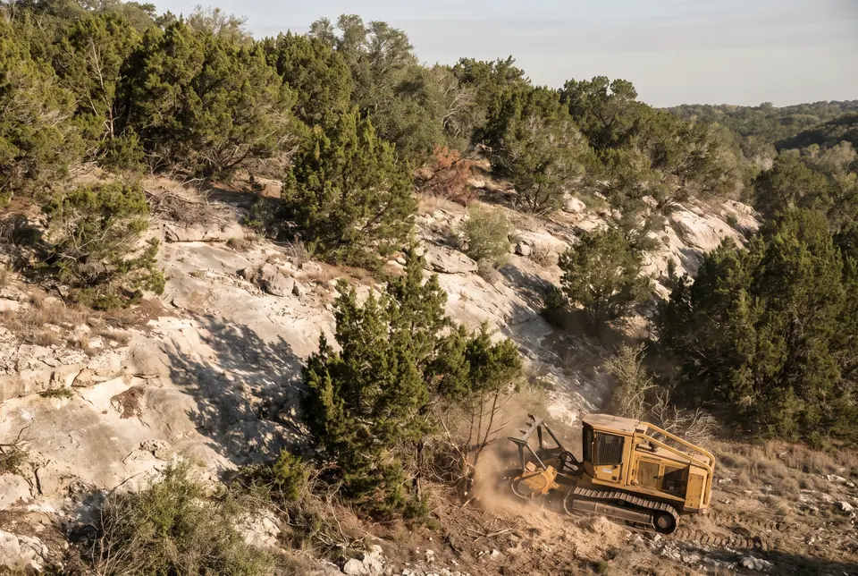 Cedar removal in Texas: dense Ashe juniper cedar brake on a limestone hillside with a mulcher at the edge