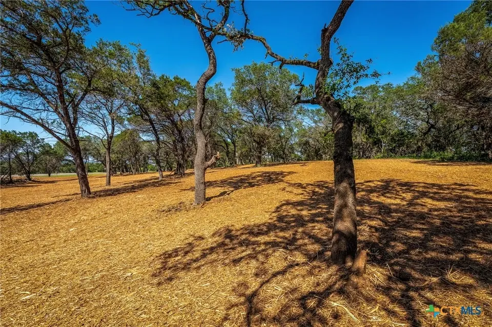 Cleared, mulched ground at Christ Our King after the job