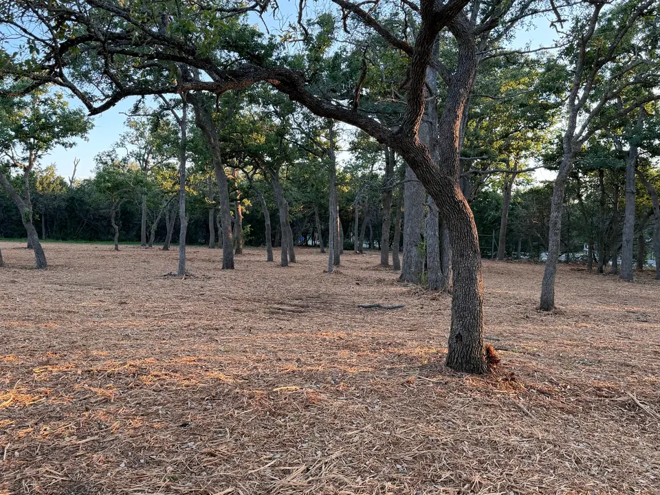 Cleared oak savanna on a Spring Branch ranch after forestry mulching