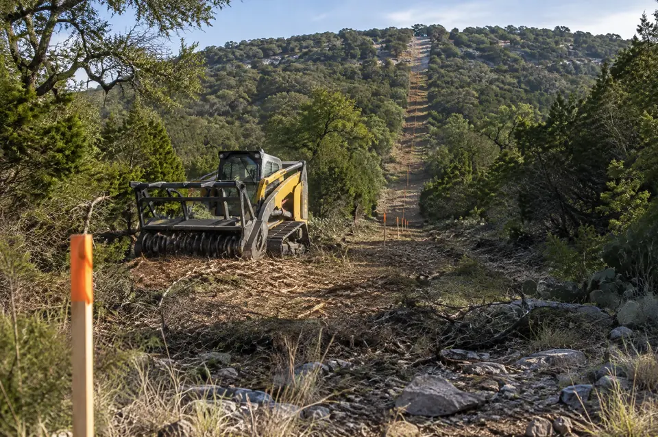 Land clearing and site work: cleared survey line with an orange-flagged stake running up a cedar-covered hill