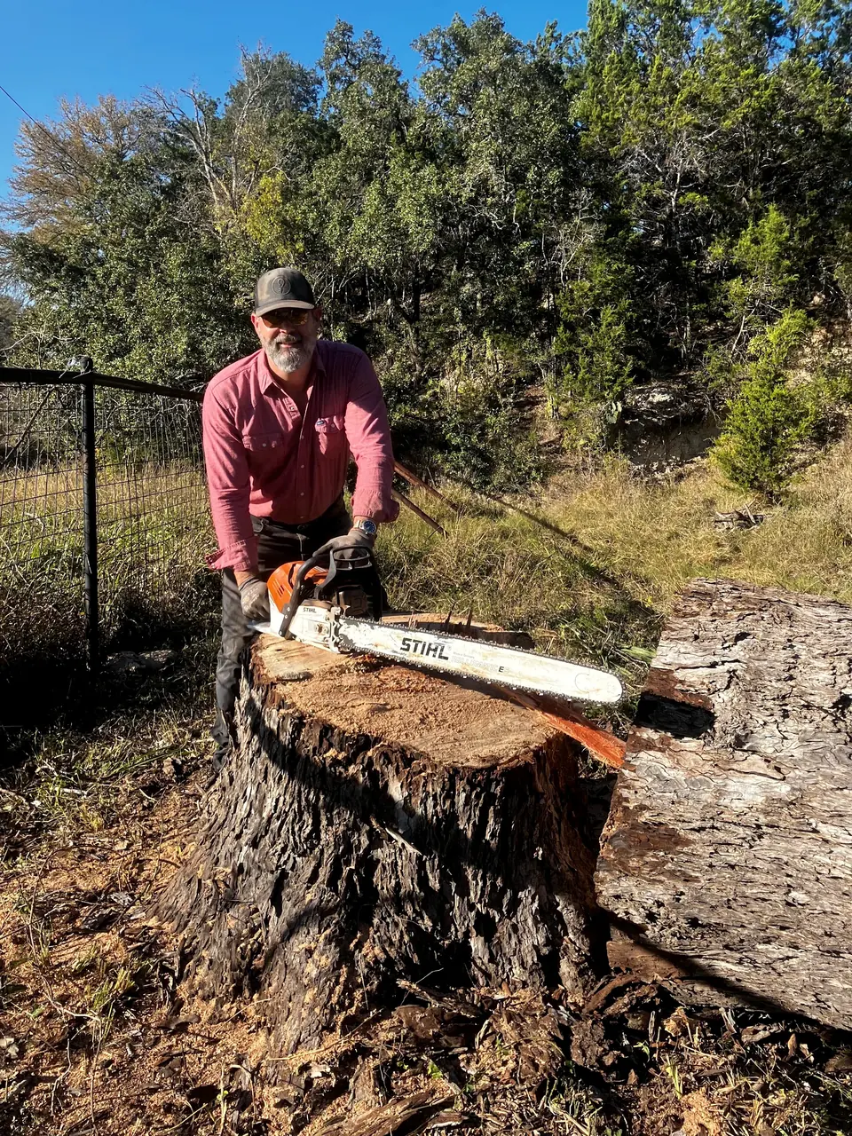 Crew member cutting a big stump with a chainsaw