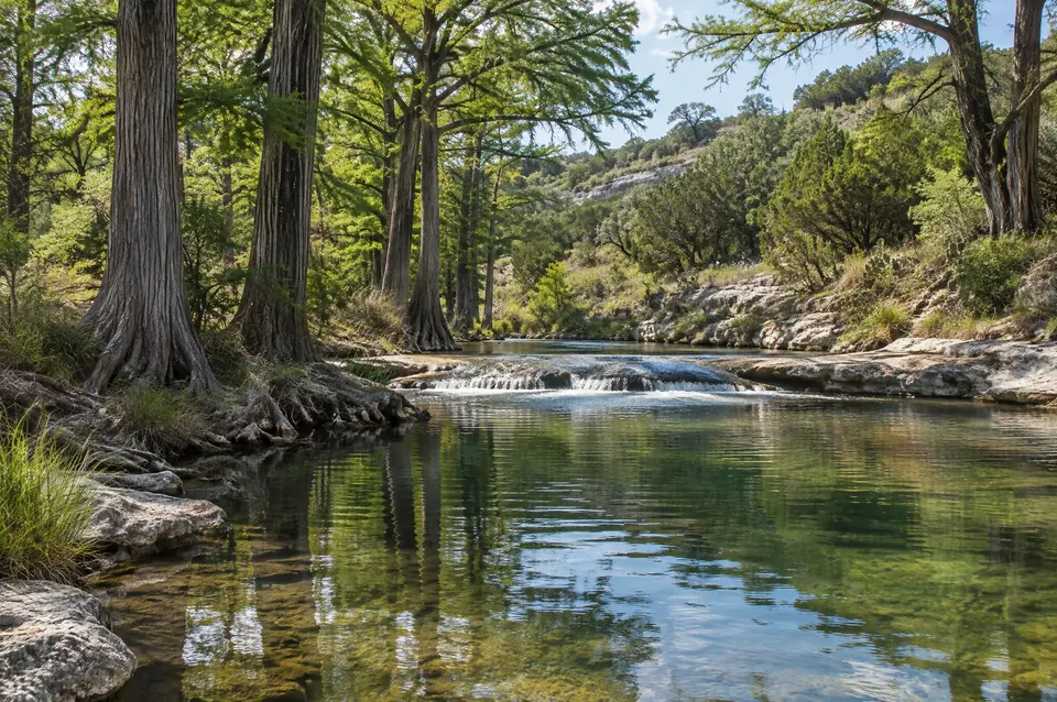 Cypress-lined Hill Country creek with a limestone ledge and riffle near Boerne