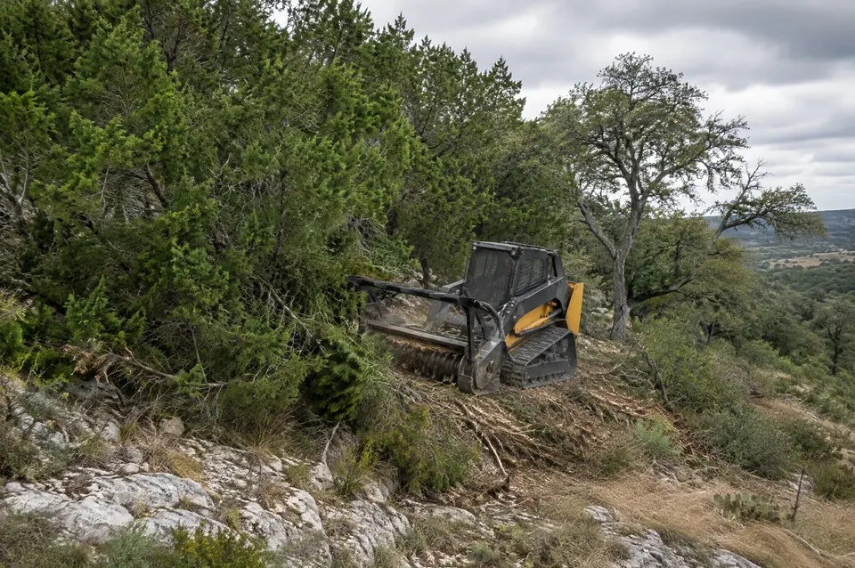 Ashe juniper removal: dense Ashe juniper cedar brake on a limestone hillside with a mulcher at the edge
