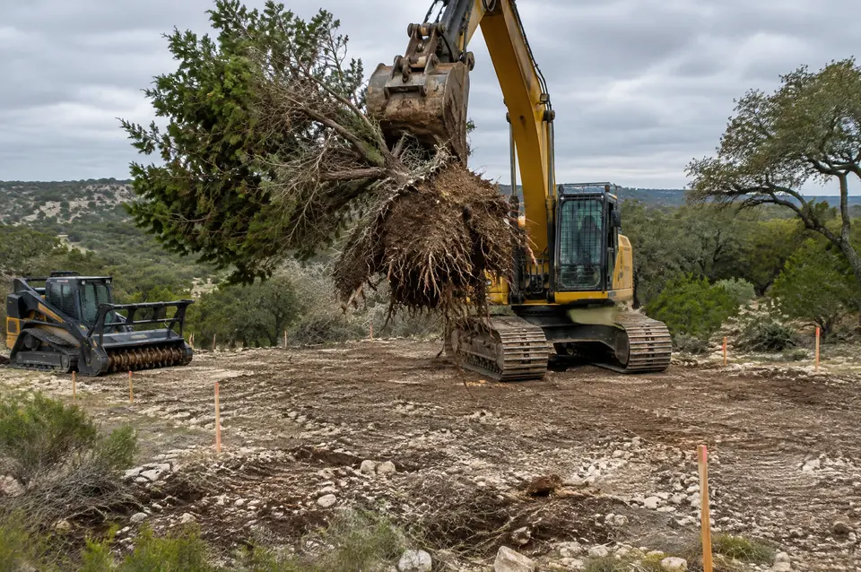 Building pad clearing: excavator lifting a cedar root ball off a staked building pad