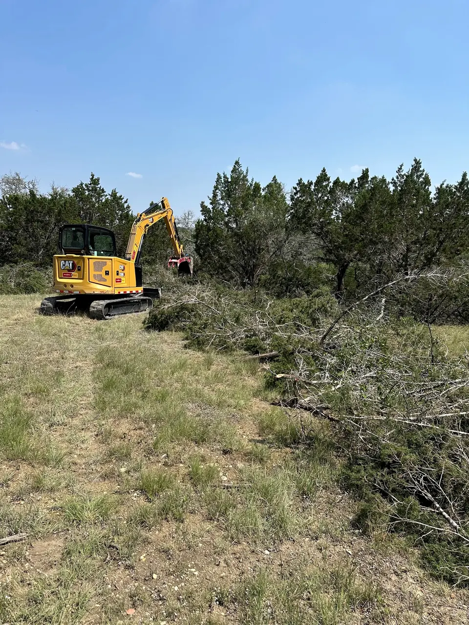 Excavator working at the edge of a brushy site