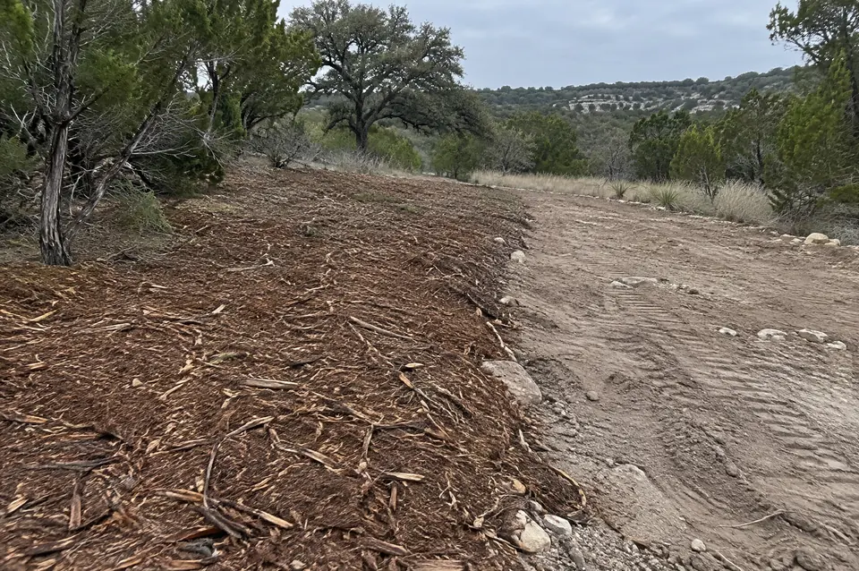 Forestry mulching east Texas: forestry mulch over intact soil beside a strip of bare scraped dirt