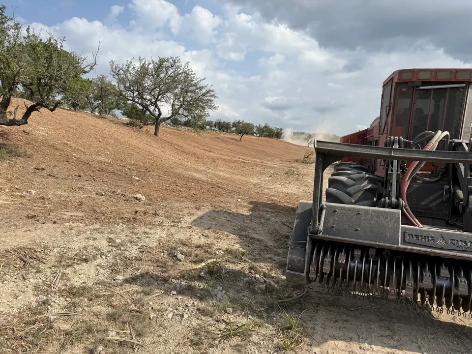 Forestry mulcher on a mulched hillside