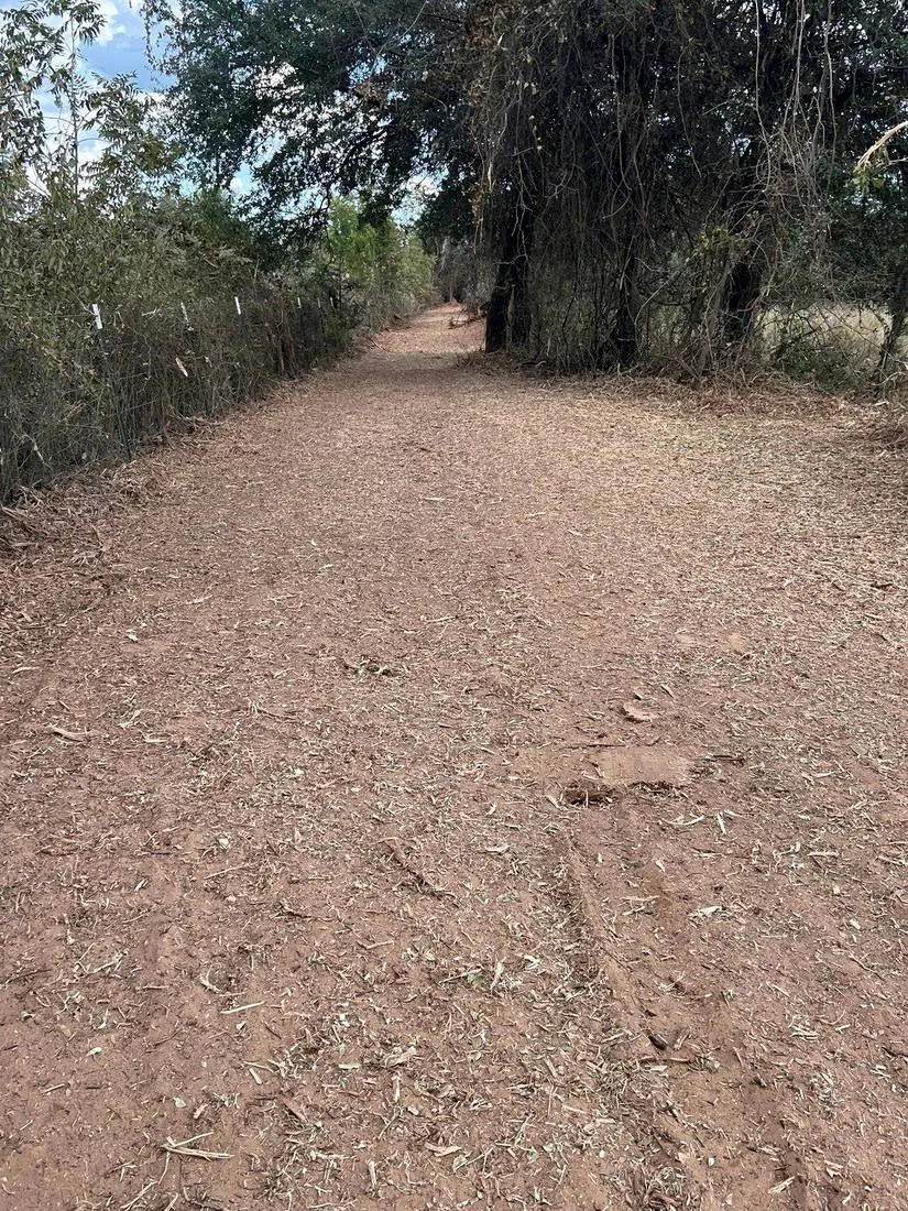 The same trail after 9 Arrow forestry mulching