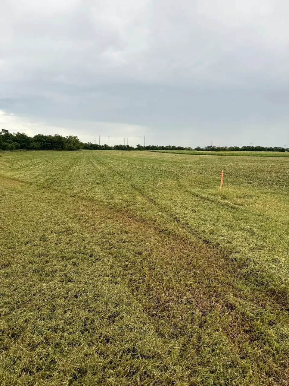Fresh mowing lines across a big pasture