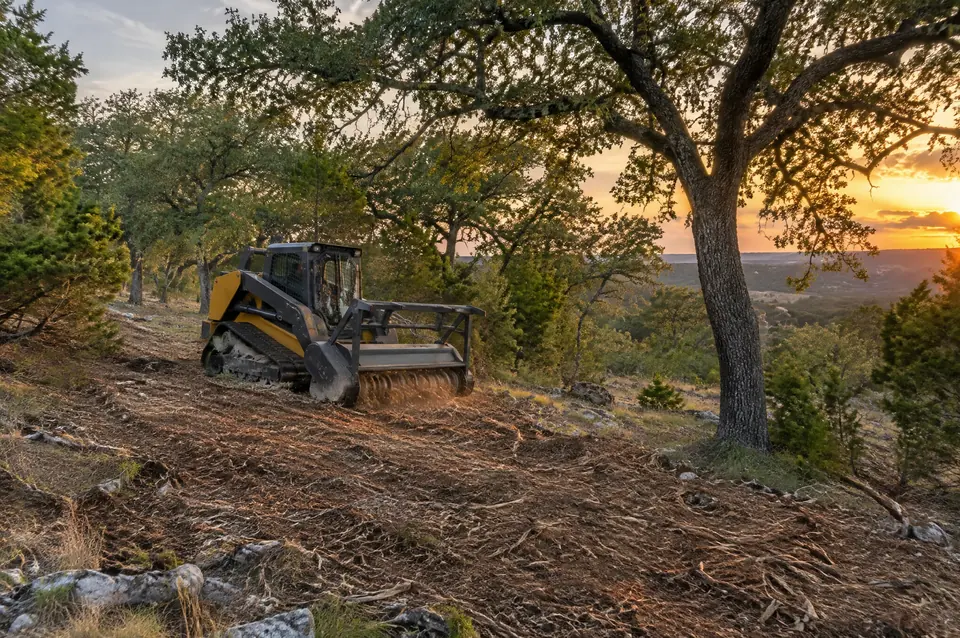 Cedar clearing Hill Country: hillside with cedar selectively removed and live oaks kept, mulch on the ground at sunset