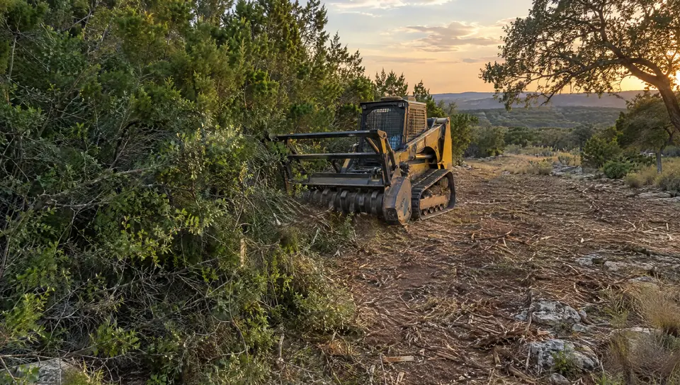 Land clearing cost Texas: mulched path cut through dense cedar brush on Texas acreage at sunset