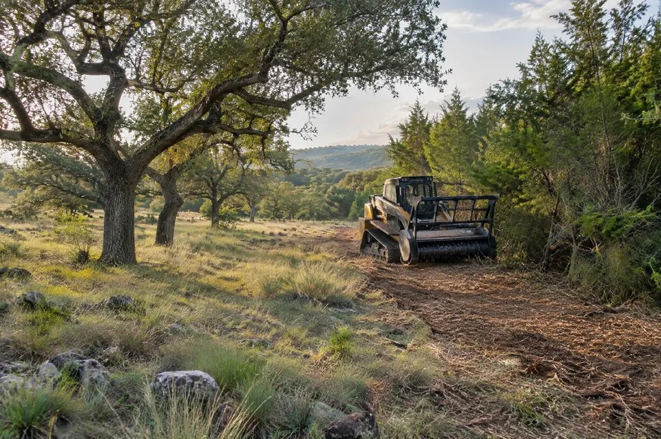 Hill Country brush mulching: live oak savanna with grass returning through mulch, cedar held back at the treeline