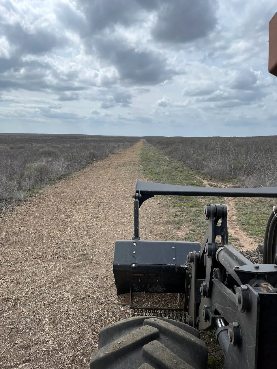Long cleared corridor seen from the cab of a forestry mulcher
