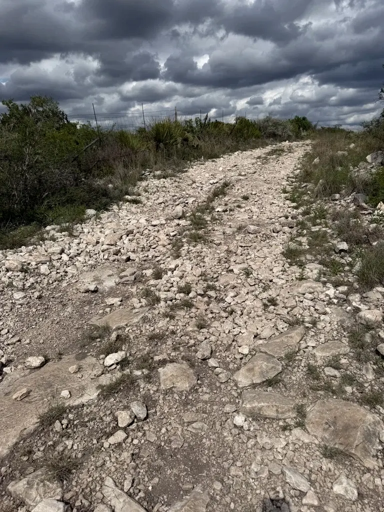 Loose limestone rock covering a ranch road before rock crushing