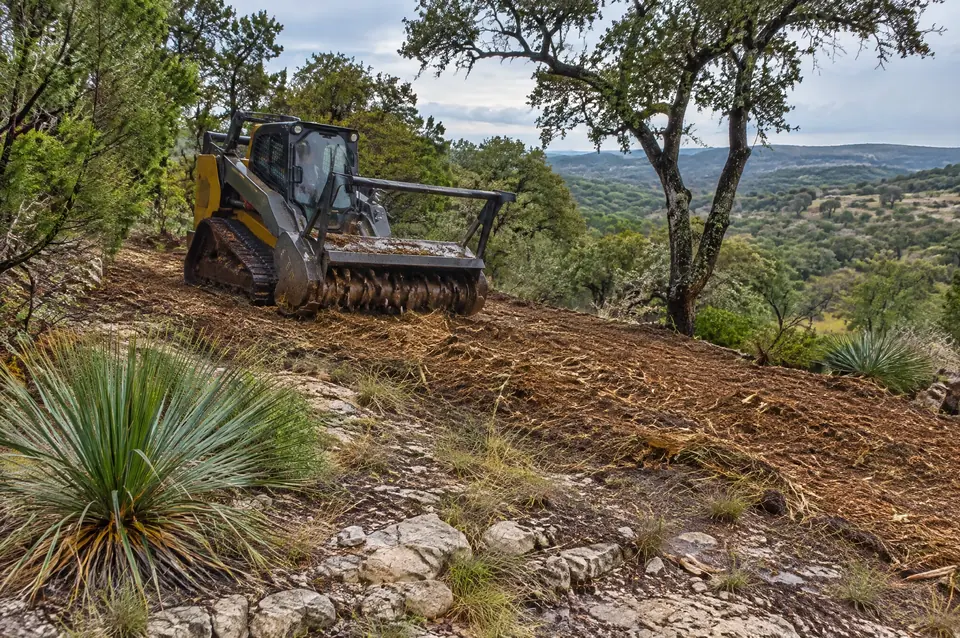 Forestry mulching Bexar County: mulch over thin rocky soil and fractured limestone with sotol in north Bexar County