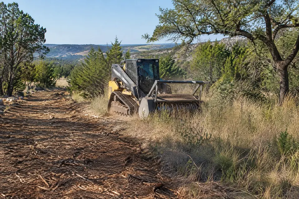 Brush mulching: mulched lane beside tall grass and brush, mulched and uncut ground side by side