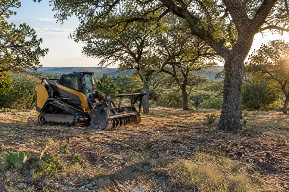 Selective clearing: mulched woodland with mature oaks standing and open space beneath them