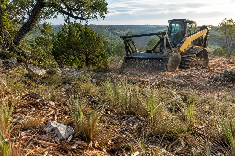 Brush mulching Comal County: native bunchgrass coming back through light mulch, track mulcher behind