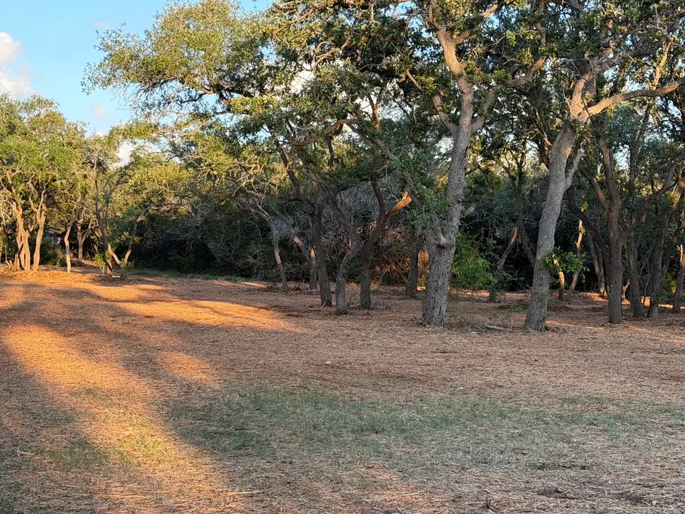 Open ground under the oaks on a Spring Branch ranch after forestry mulching