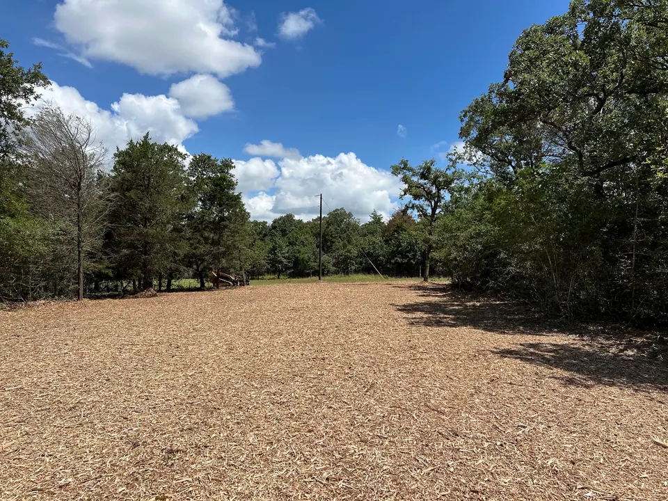 Open, mulched clearing ringed by oak and cedar