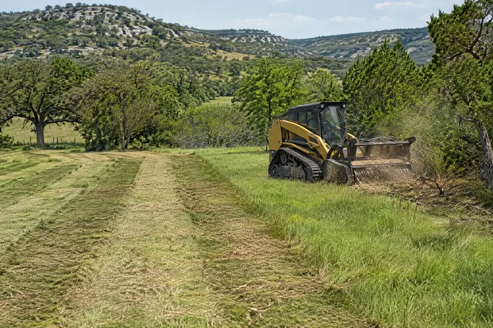 Property maintenance: pasture mowed in neat stripes with a track mulcher at the treeline