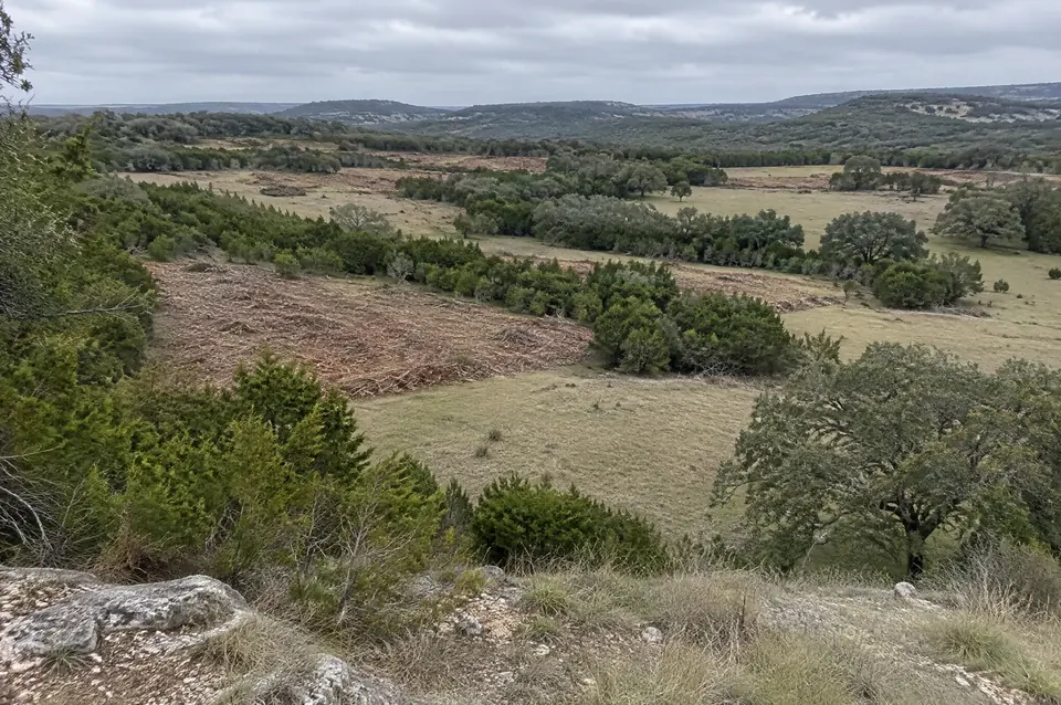 1-d-1 ag valuation: ranch with cedar mulched in open blocks and strips of juniper and oak left for cover