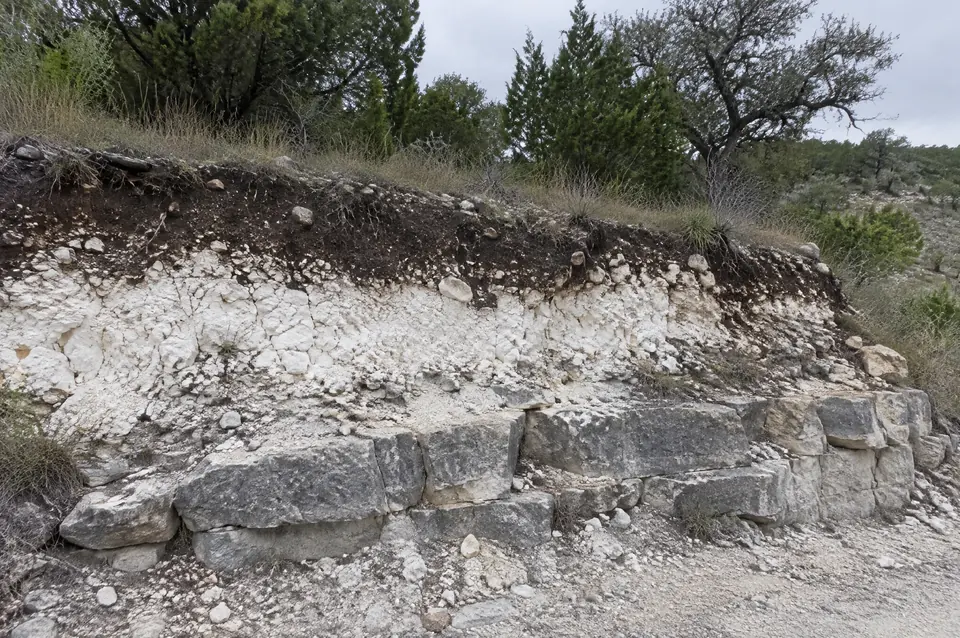Caliche road base: road cut with thin dark soil over a white crumbly layer and limestone ledges below