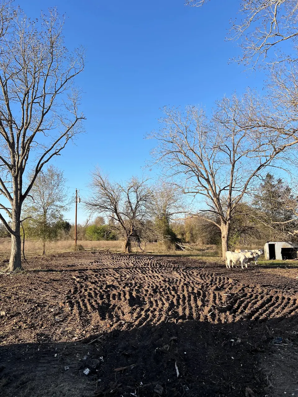 Sandy Hill house site cleared after demolition and cleanup