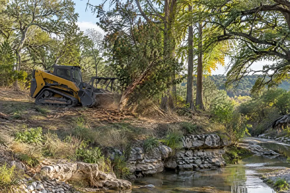 Selective clearing Wimberley: selective clearing of one cedar among cypress, pecan and live oaks above a Wimberley creek