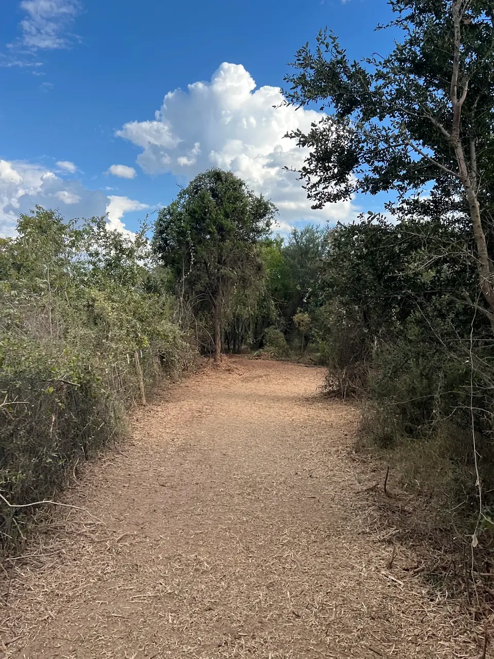 Smooth, even mulch finish along a lane at Brazos Point after the repair pass