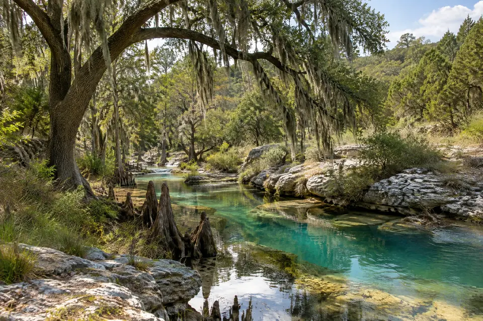 Spring-fed creek with turquoise pools, cypress knees and Spanish moss near Spring Branch