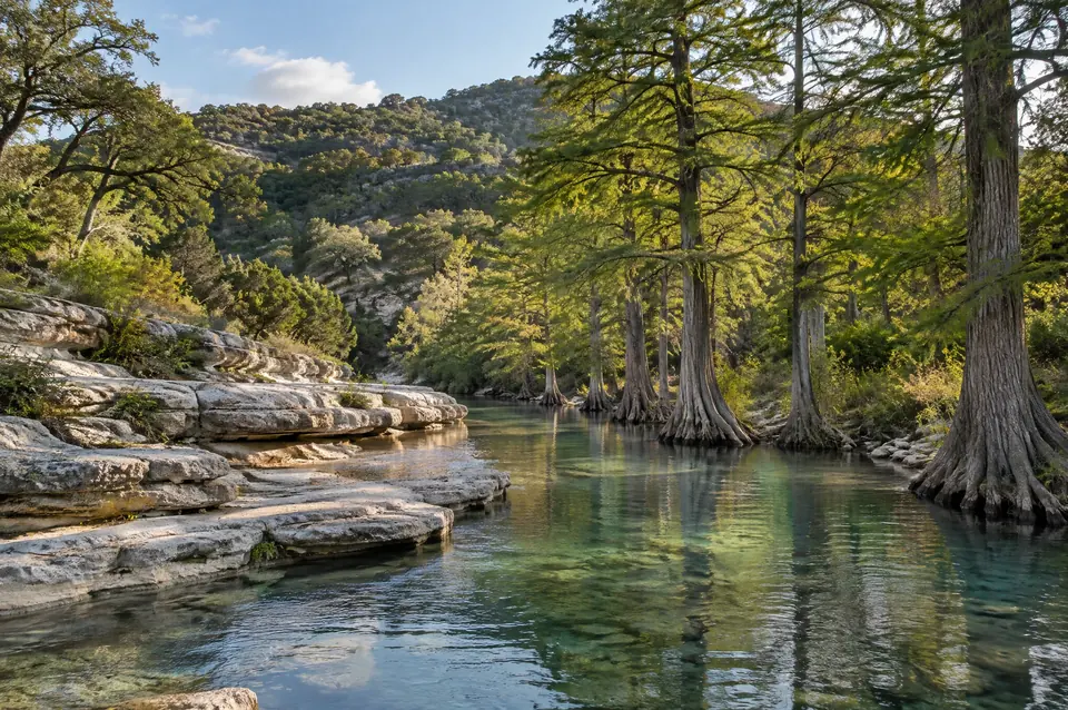 Spring-fed Hill Country river with white limestone ledges and tall bald cypress
