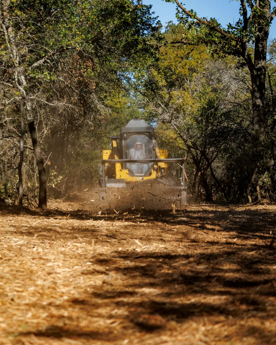 Survey line clearing in Texas: 9 Arrow track loader cutting a clean lane through Central Texas woods