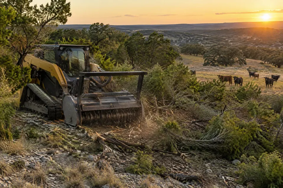 Ranch land services Central Texas: track mulcher clearing cedar from a ranch pasture, cattle watching