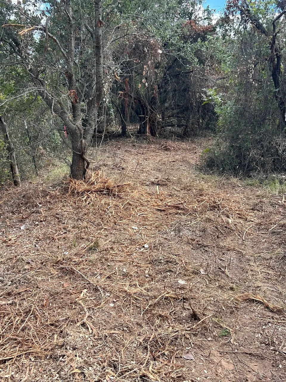 Uneven ground and a leftover stump at Brazos Point before the repair