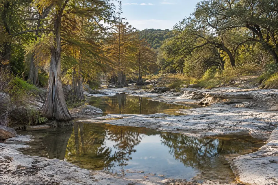 White limestone creekbed with pools and bald cypress in Cibolo Creek country near Bulverde