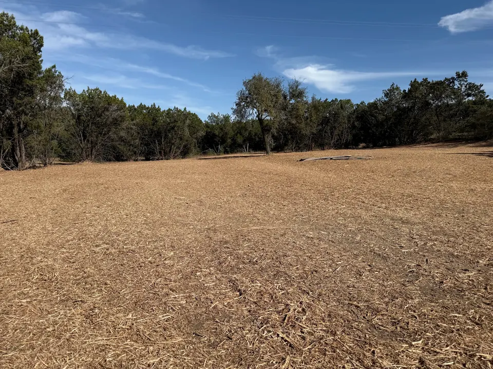 Wide mulched field after mass clearing