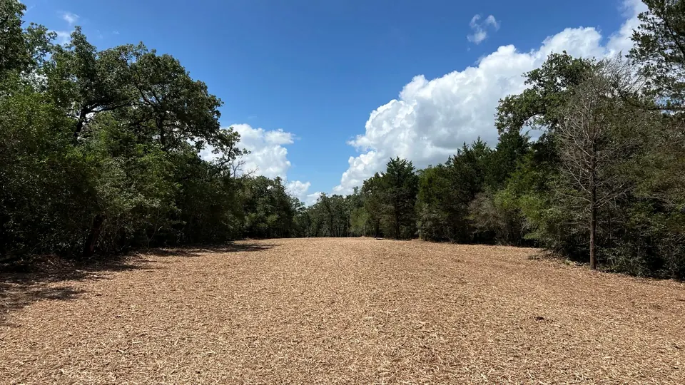 Wide mulched lane cut through the trees on a cleared property