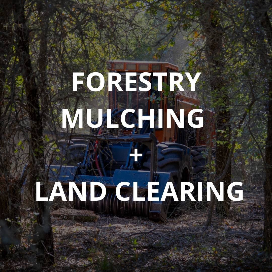 Forestry Mulching and Land Clearing Services in Texas