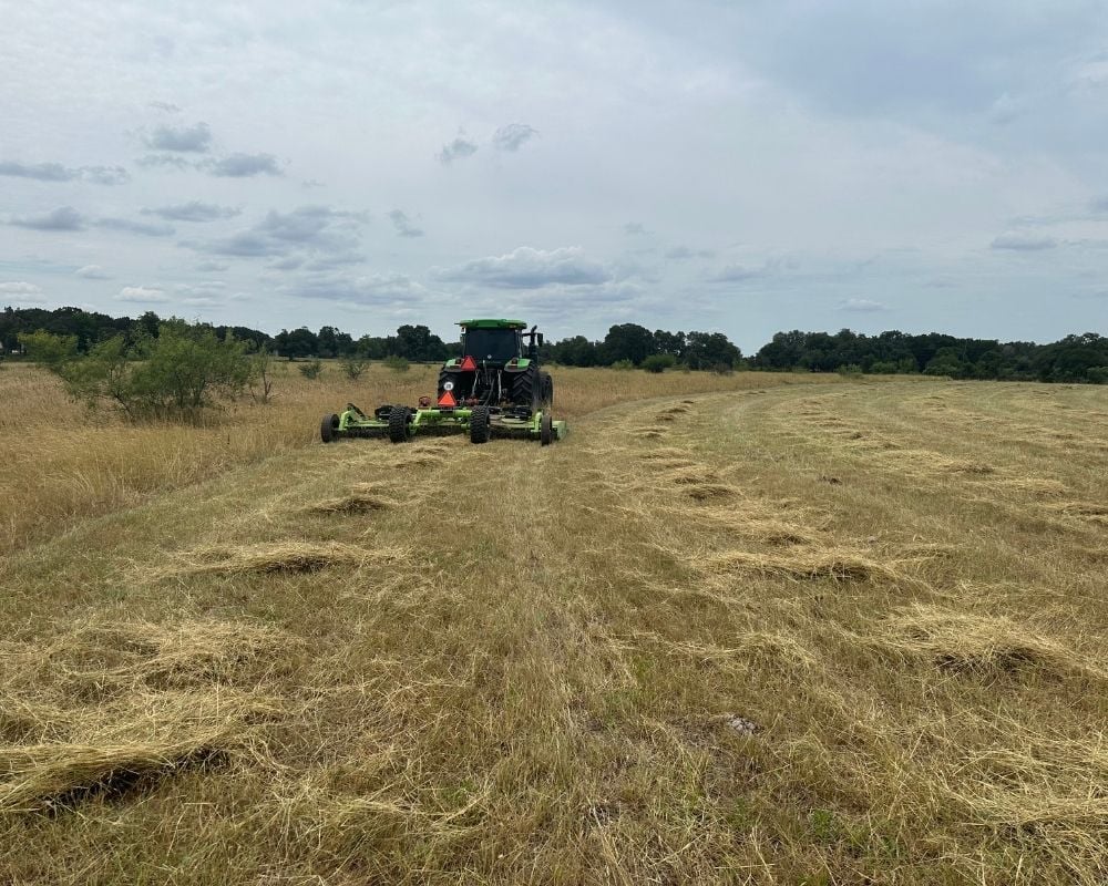 Grounds Maintenance For Large Property in Texas