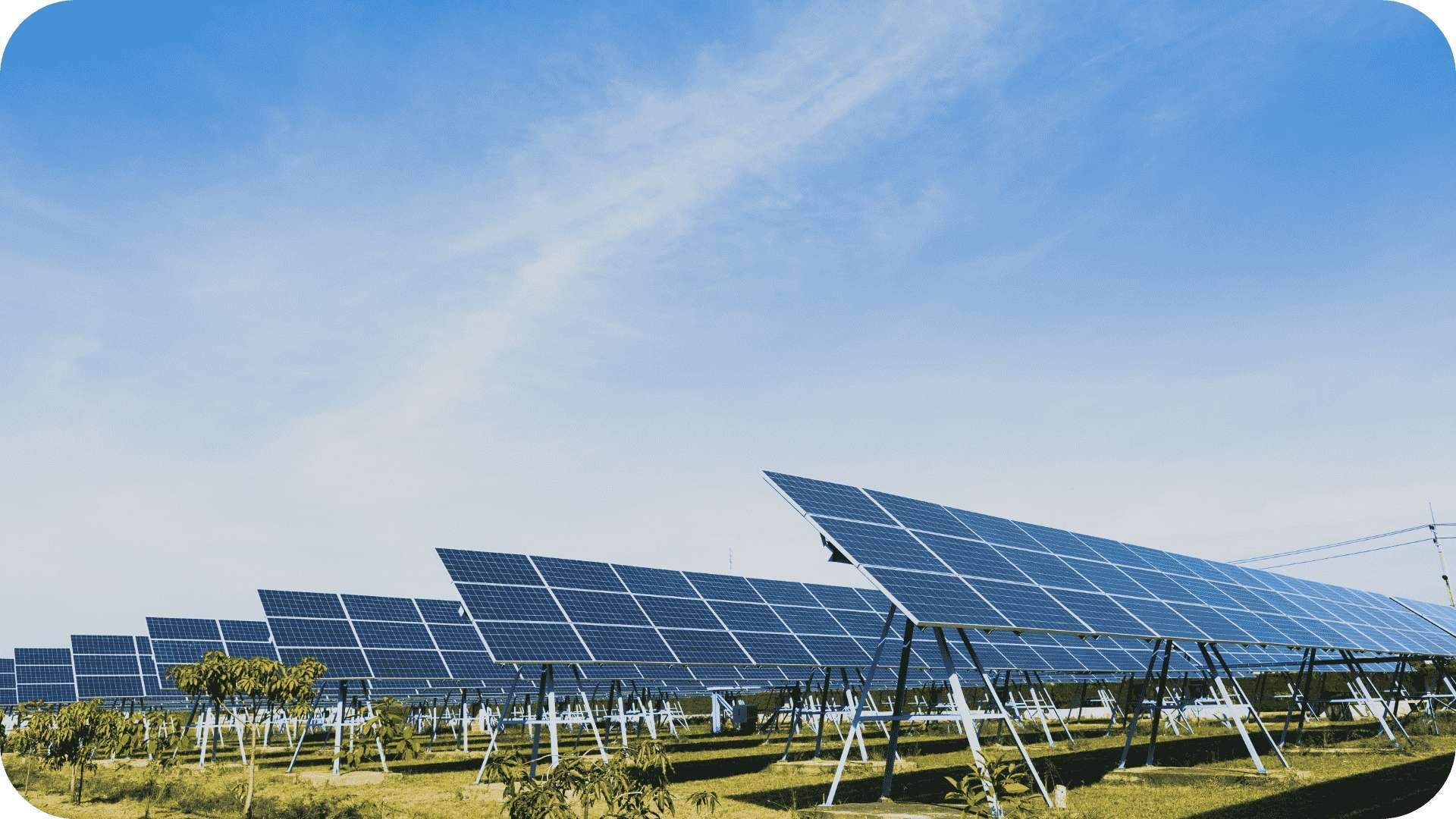 Solar Developers in Texas